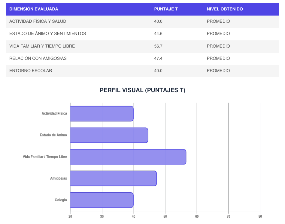 Resultados: tabla de dimensiones y perfil visual